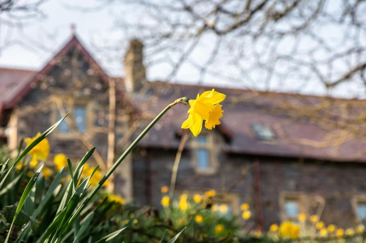 Maison d'hôtes Penrhiw Priory à Saint David's Extérieur photo